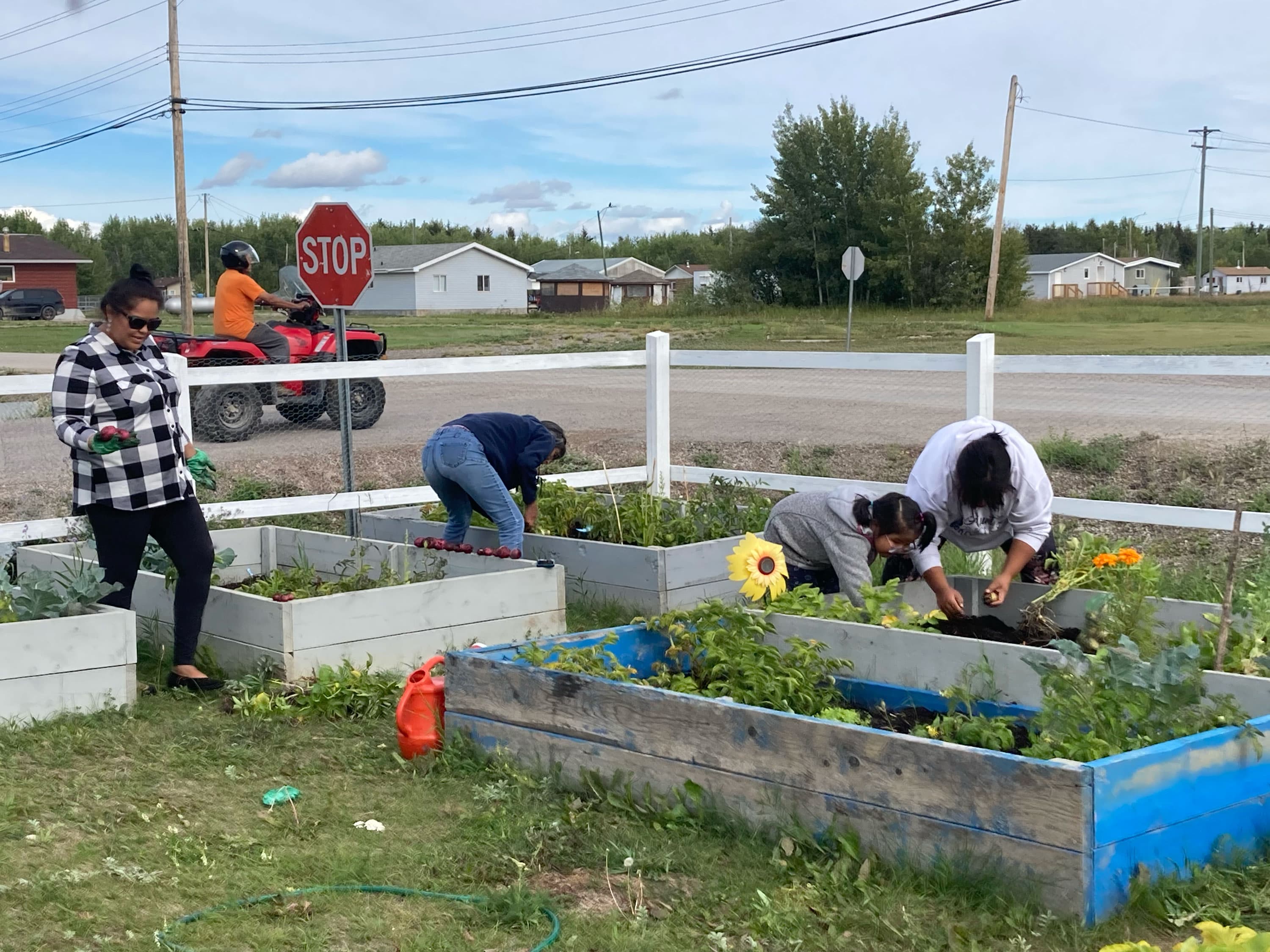 Community garden background